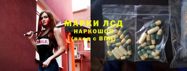 трава Няндома